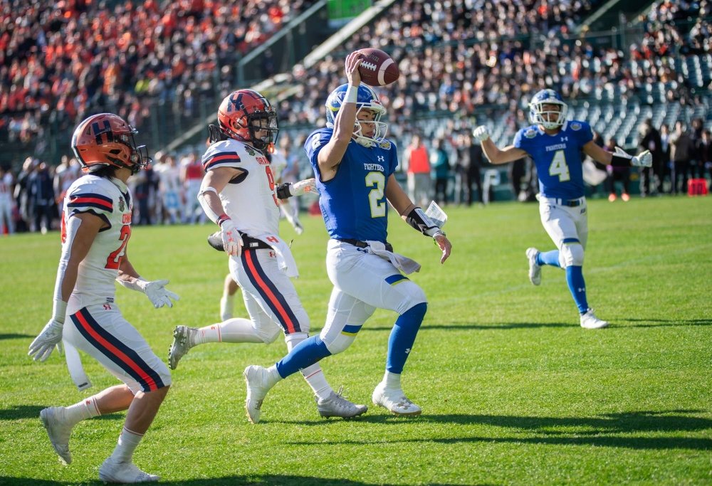 ⚾ 한신 고시엔 구장 이미지 13